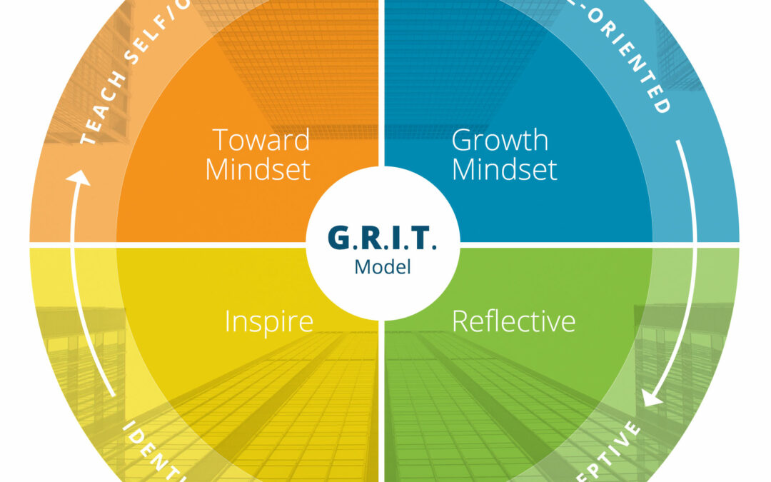 Het GRIT change coaching model